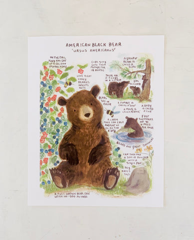 Black Bear Facts Naturalist Art Print