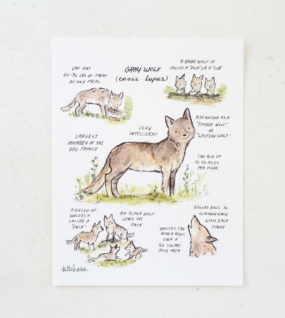 woodland guide gray wolf giclee